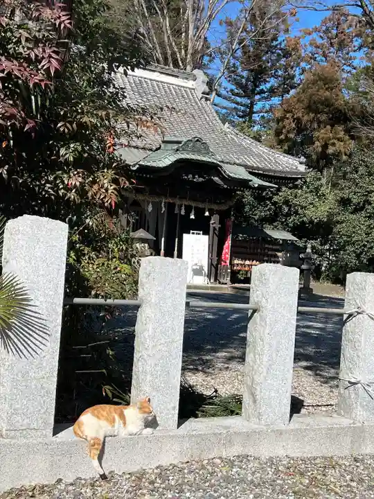 佐野赤城神社(栃木県)