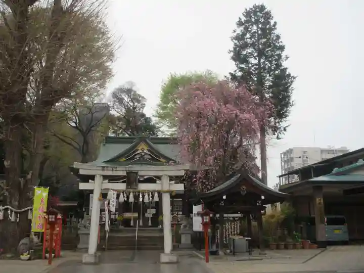 川越八幡宮(埼玉県)