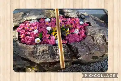 阿智神社の手水舎