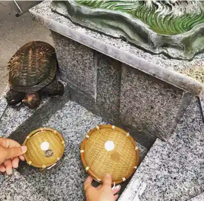 小網神社のその他建物
