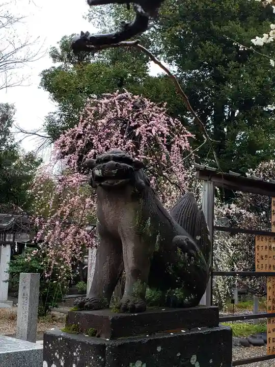 布多天神社(東京都)