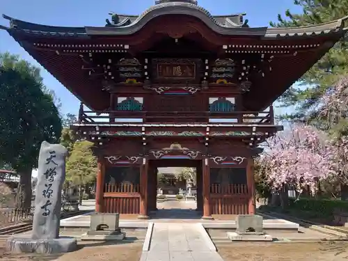 天増寺の山門