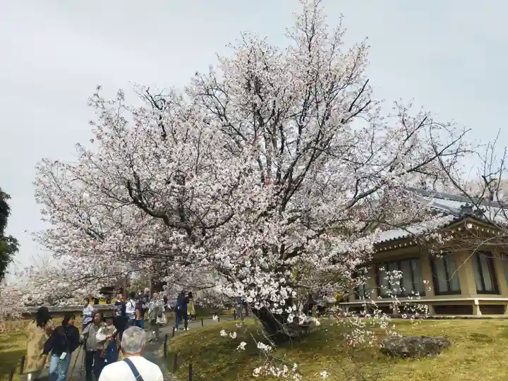 宝聚院(京都府)