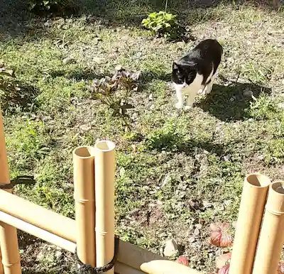 白金氷川神社(東京都)