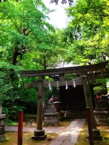 赤坂氷川神社(東京都)
