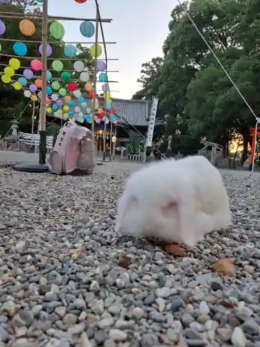 大御和神社(徳島県)