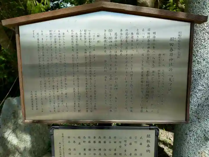 春日神社(福島県)