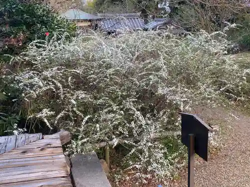 海龍王寺(奈良県)