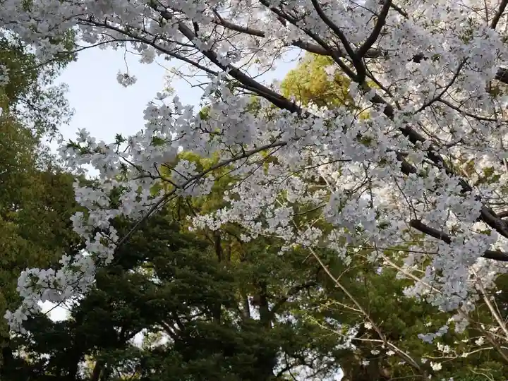 輪王寺両大師堂(寛永寺輪王殿)の自然
