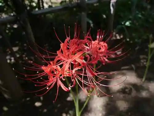 龍眼寺（萩寺）の自然