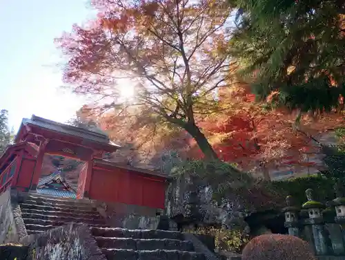 妙義神社(群馬県)