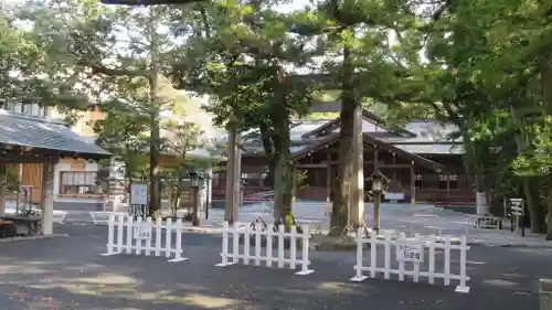 猿田彦神社の鳥居