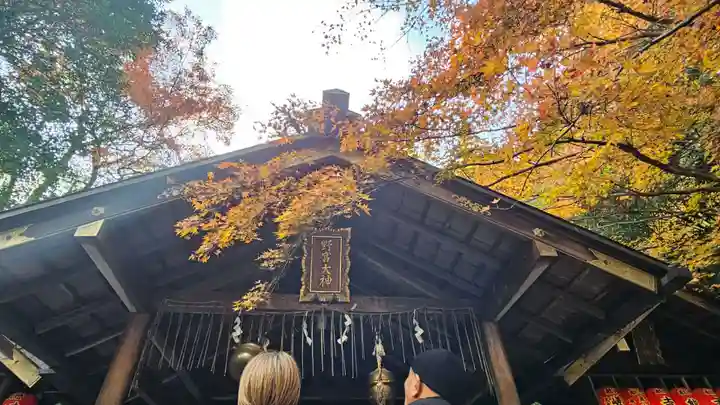 野宮神社(京都府)
