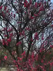 大生郷天満宮の自然