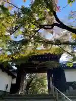 知恩院の山門・神門