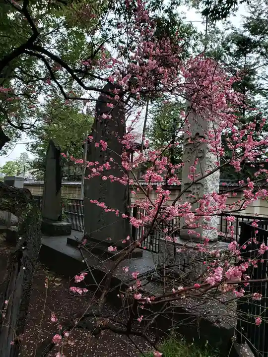 布多天神社(東京都)