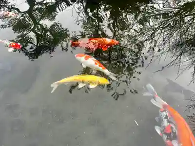 石母田　三吉神社(福島県)