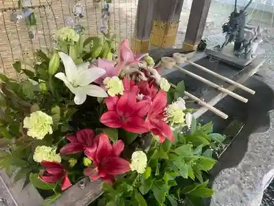 彌彦神社　(伊夜日子神社)の手水舎