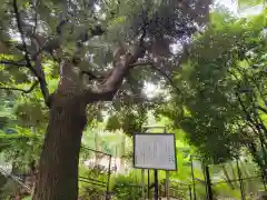 渋谷氷川神社の自然