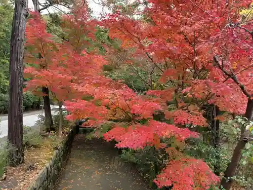 鶴岡八幡宮の自然