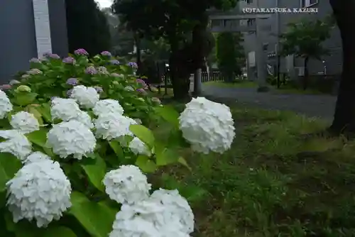 琵琶島神社(神奈川県)