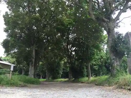 皇宮神社（宮崎神宮摂社）の自然