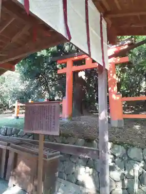 春日大社(奈良県)