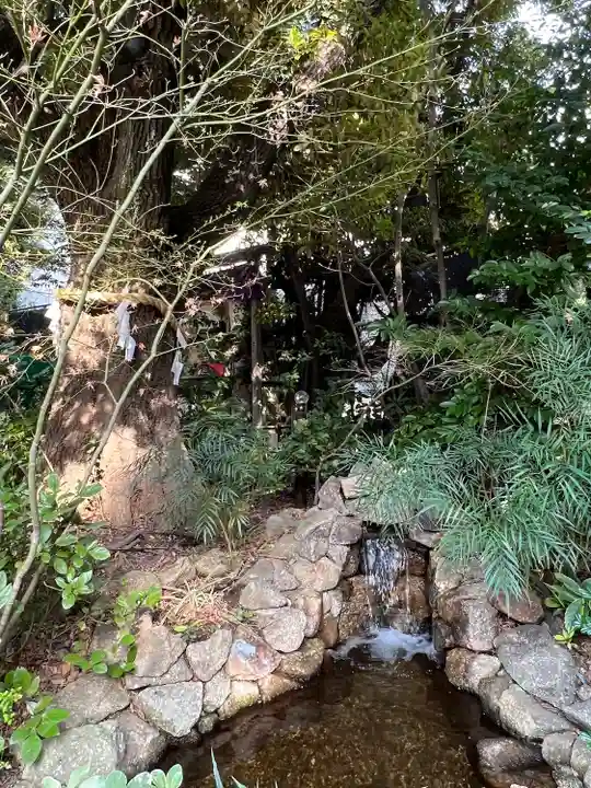 東京大神宮(東京都)