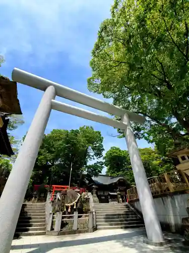 安積國造神社の鳥居