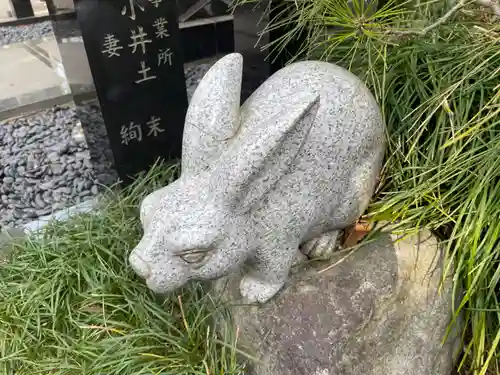 亀ケ池八幡宮の狛犬