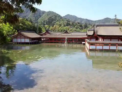 厳島神社の建物その他