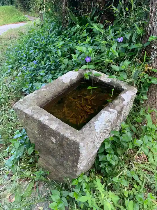 阿弥陀寺の手水舎