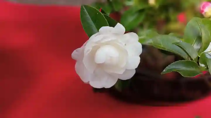 阿邪訶根神社(福島県)