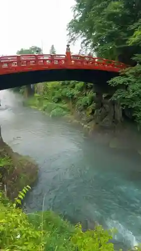 日光二荒山神社の自然