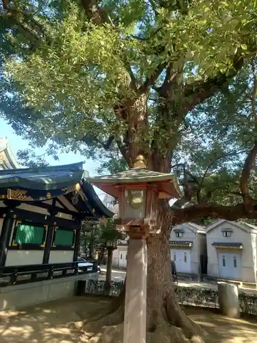 穴八幡宮(東京都)