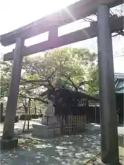 荏原神社の鳥居