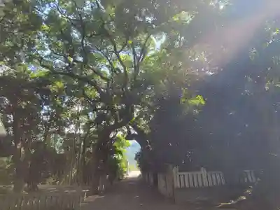 伊曽乃神社(愛媛県)