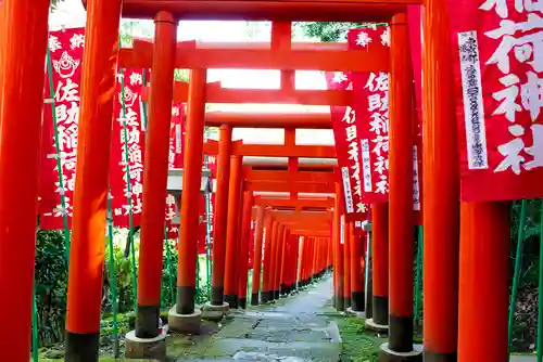 佐助稲荷神社の鳥居