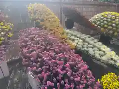 亀戸天神社の庭園