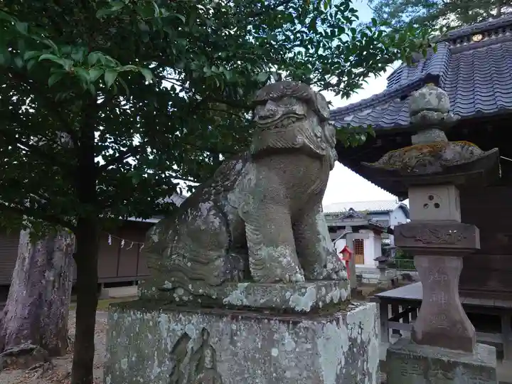 橘神社の狛犬