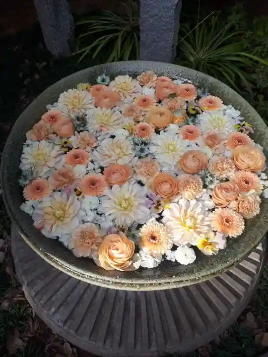 行田八幡神社の手水舎