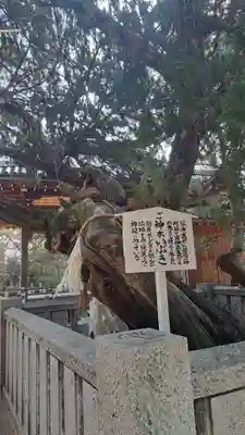 高砂神社(兵庫県)