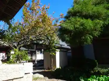 善力寺(滋賀県)