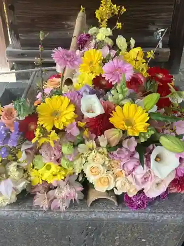 勝林寺(京都府)