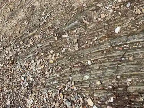 醍醐寺（上醍醐）(京都府)