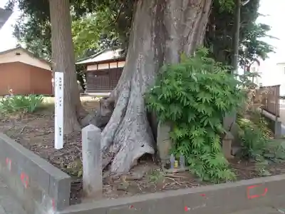 神明神社の自然