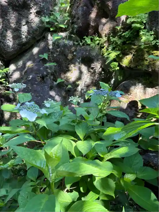 龍宮(江島神社)(神奈川県)