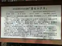 蒲生八幡神社の{uncategorized: "未分類", other: "その他", undefined: "問題あり", building: "その他建物", grave: "お墓", sacred_gate: "鳥居", guardian: "狛犬", statue: "像", buddha: "仏像", history: "歴史", nature: "自然", garden: "庭園", animal: "動物", pagoda: "塔", temizu: "手水舎", mountain_gate: "山門・神門", sanctuary: "本殿・本堂", subordinate: "末社・摂社", art: "芸術", scenery: "景色", jizo: "地蔵", ema: "絵馬", goshuin: "御朱印", omikuji: "おみくじ", items: "授与品その他", amulet: "お守り", goshuincho: "御朱印帳", eats: "食事", festival: "お祭り", votive_dance: "神楽", shichigosan: "七五三参", wedding: "結婚式", experience: "体験その他", initially: "初詣", around: "周辺", anti_infection: "感染症対策"}