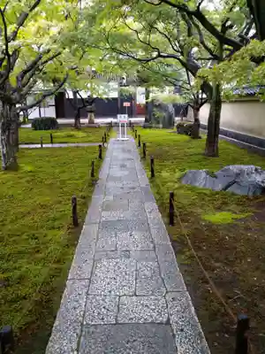 黄梅院(京都府)