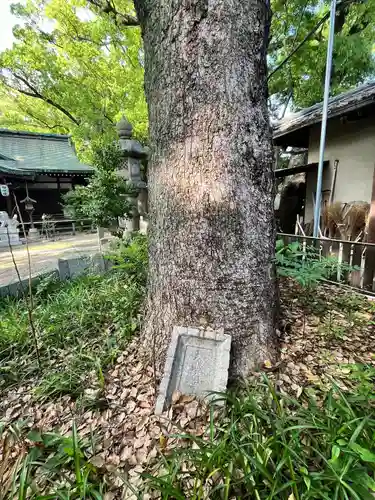天神ノ森天満宮(大阪府)